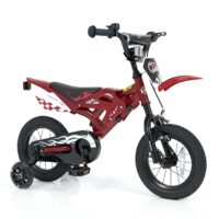 HOGEBABY Motocross Style Kids Bike for Boy Girl 3-4 Years Old | 12 Inches Toddler Bicycle