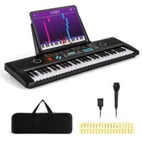 HOGEBABY 61 Key Keyboard Piano, Electric Digital Piano Keyboard with Microphone